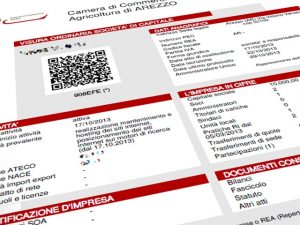 Traduzioni Visura Camerale
